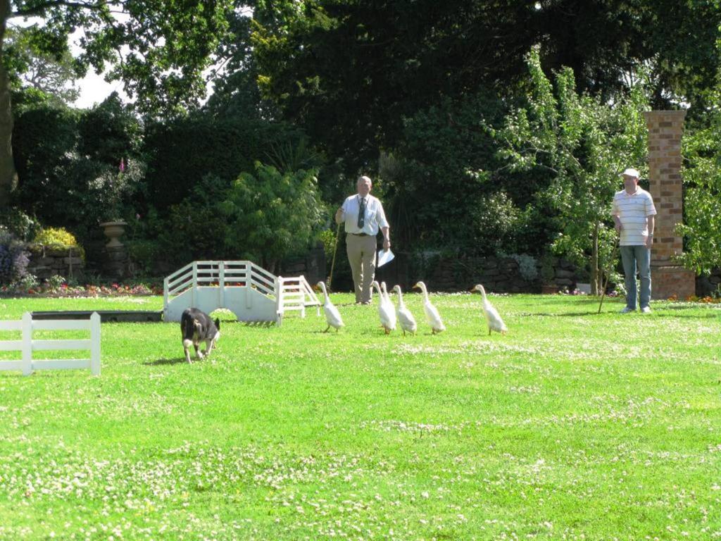 Willington Hall Hotel Tarporley Eksteriør bilde